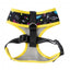Peitoral para cães respirável FuzzYard Bel Air tamanho XS