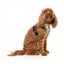 Peitoral respirável para cães FuzzYard Carioca (tamanho XS)
