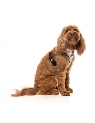 Peitoral respirável para cães FuzzYard Carioca (tamanho XS)