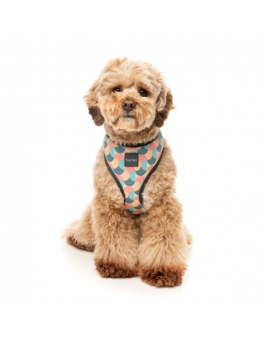 Peitoral respirável para cães FuzzYard Carioca (tamanho XS)