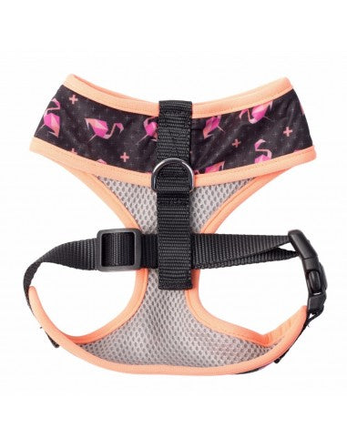 Peitoral para cães respirável FuzzYard Fabmingo tamanho XL