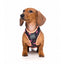 Peitoral para cães respirável FuzzYard Fabmingo tamanho XL