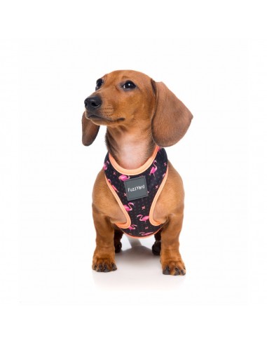 Peitoral para cães respirável FuzzYard Fabmingo tamanho XL