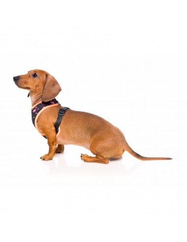 Peitoral para cães respirável FuzzYard Fabmingo tamanho XL