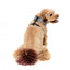 Peitoral respirável para cães FuzzYard Fitzroy (tamanho XS)