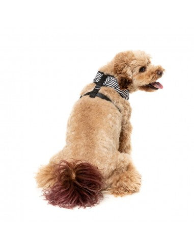 Peitoral respirável para cães FuzzYard Fitzroy (tamanho XS)