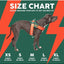 Peitoral refletor para cão FuzzYard Flash Bubblegum