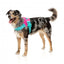 Peitoral refletor para cão FuzzYard Flash Bubblegum