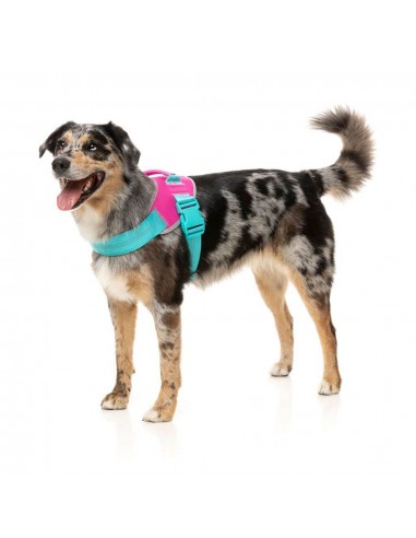 Peitoral refletor para cão FuzzYard Flash Bubblegum
