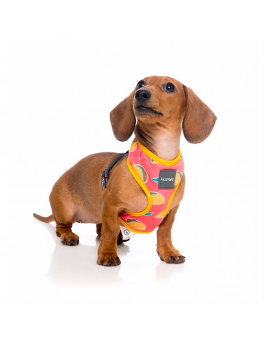 Peitoral respirável para cães FuzzYard Hey Esse (tamanho L)