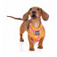 Peitoral respirável para cães FuzzYard Hey Esse (tamanho XL)
