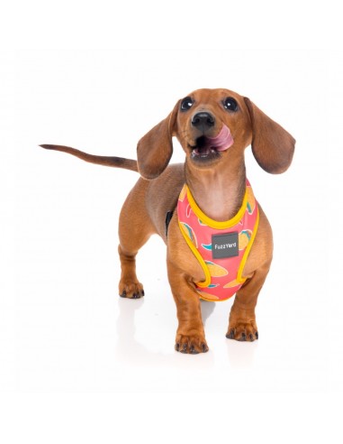 Peitoral respirável para cães FuzzYard Hey Esse (tamanho XL)