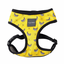 Peitoral para cães FuzzYard Monkey Mania em lycra respirável
