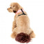 Peitoral para cão em lycra respirável FuzzYard Pink Lemonade
