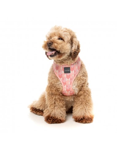 Peitoral para cão em lycra respirável FuzzYard Pink Lemonade