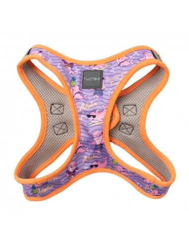 Peitoral step-in para cão FuzzYard Aloha Dolphins respirável