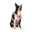 Peitoral step-in para cão FuzzYard Aloha Dolphins respirável