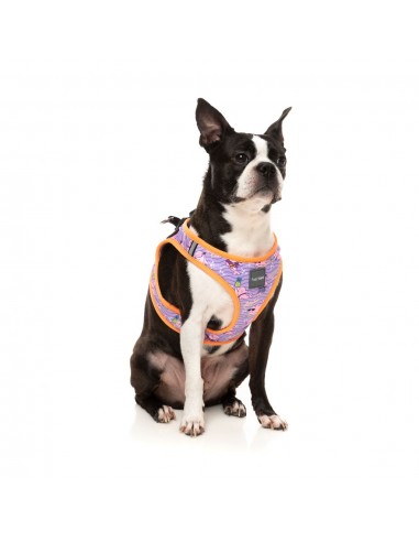 Peitoral step-in para cão FuzzYard Aloha Dolphins respirável