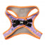 Peitoral step-in para cão FuzzYard Aloha Dolphins respirável