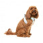 Peitoral step-in para cão FuzzYard Bubblegum Burst respirável