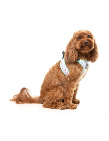 Peitoral step-in para cão FuzzYard Bubblegum Burst respirável