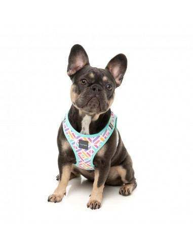 Peitoral step-in para cão FuzzYard Bubblegum Burst respirável