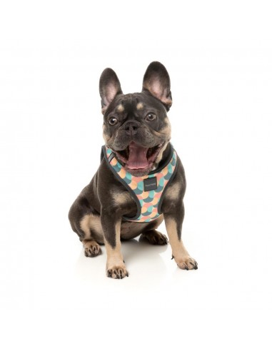 Peitoral step-in para cão FuzzYard Carioca respirável