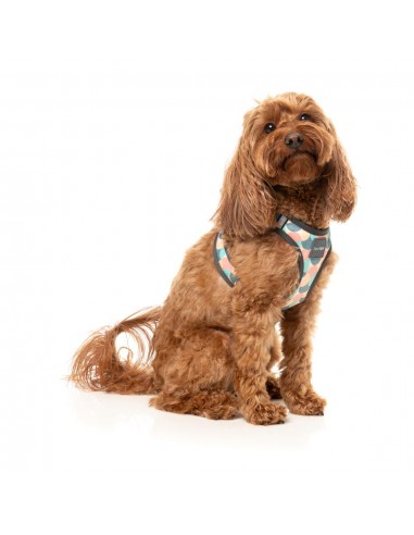 Peitoral step-in para cão FuzzYard Carioca respirável