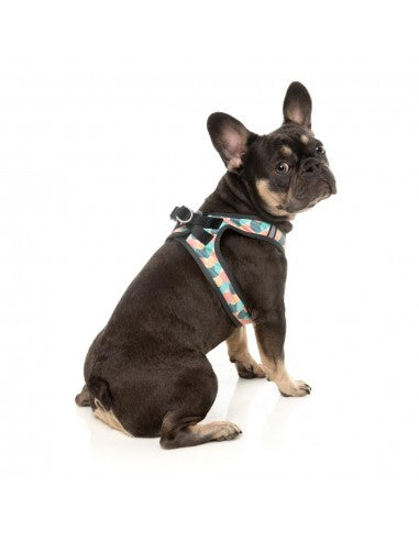 Peitoral step-in para cão FuzzYard Carioca respirável