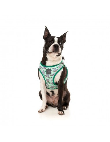 Peitoral step-in para cão FuzzYard Dreamtime Koalas respirável