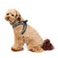 Peitoral step-in para cães FuzzYard Fitzroy, respirável e refletor