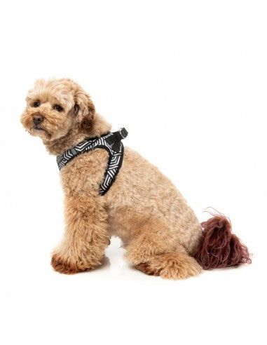 Peitoral step-in para cães FuzzYard Fitzroy, respirável e refletor