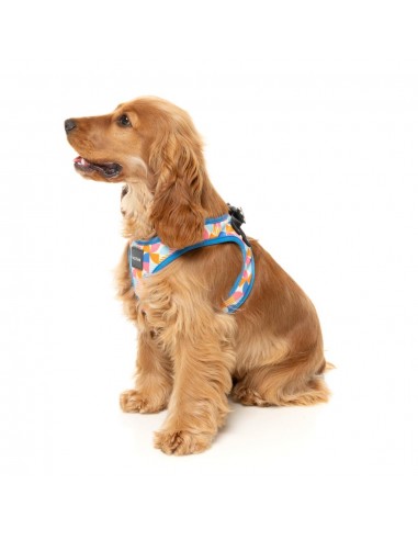 Peitoral step-in para cães FuzzYard Fresh Zest, respirável e refletor