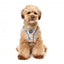 Peitoral step-in para cães FuzzYard Fresh Zest, respirável e refletor