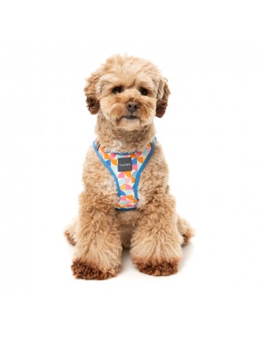 Peitoral step-in para cães FuzzYard Fresh Zest, respirável e refletor