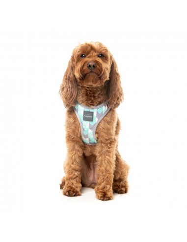 Peitoral step-in para cães FuzzYard Mint Fizz respirável e refletor