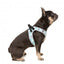Peitoral step-in para cães FuzzYard Mint Fizz respirável e refletor