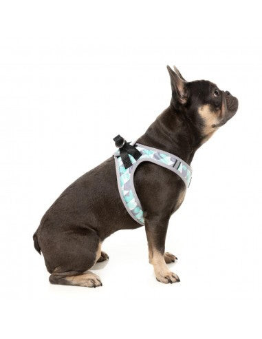 Peitoral step-in para cães FuzzYard Mint Fizz respirável e refletor