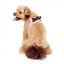 Peitoral step-in para cães FuzzYard Pink Lemonade respirável e refletor