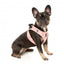 Peitoral step-in para cães FuzzYard Pink Lemonade respirável e refletor