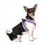 Peitoral step-in para cães FuzzYard Pluto Pup respirável e refletor