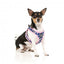 Peitoral step-in para cães FuzzYard Pluto Pup respirável e refletor