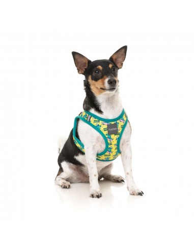 Peitoral step-in para cães FuzzYard Sk8ter Gator respirável e refletor