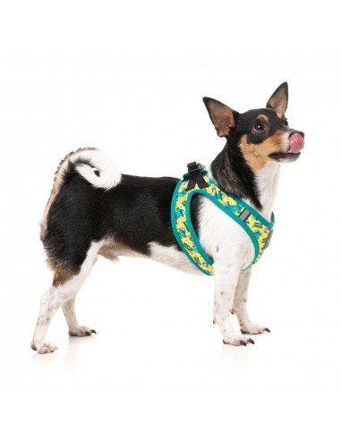 Peitoral step-in para cães FuzzYard Sk8ter Gator respirável e refletor