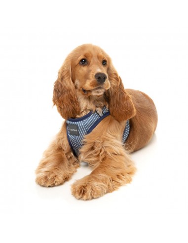 Peitoral step-in para cães FuzzYard Thornbury Aegean Blue respirável e refletor