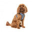 Peitoral step-in para cães FuzzYard Thornbury Aegean Blue respirável e refletor
