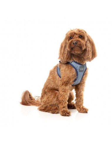 Peitoral step-in para cães FuzzYard Thornbury Aegean Blue respirável e refletor