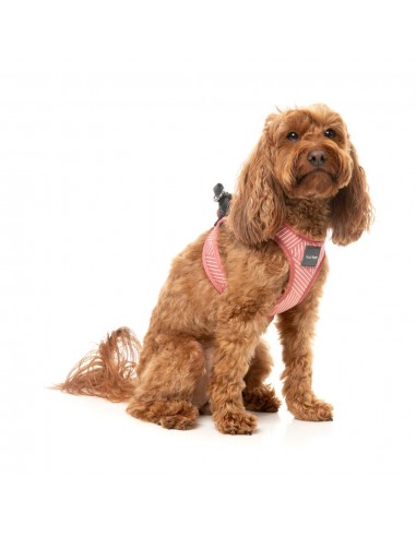 Peitoral step-in para cães FuzzYard Thornbury Brick Red respirável e refletor