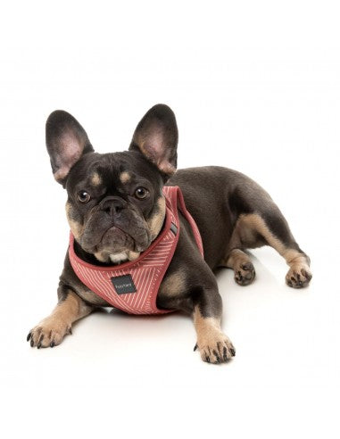Peitoral step-in para cães FuzzYard Thornbury Brick Red respirável e refletor
