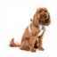 Peitoral step-in para cães FuzzYard Yazd respirável e refletor